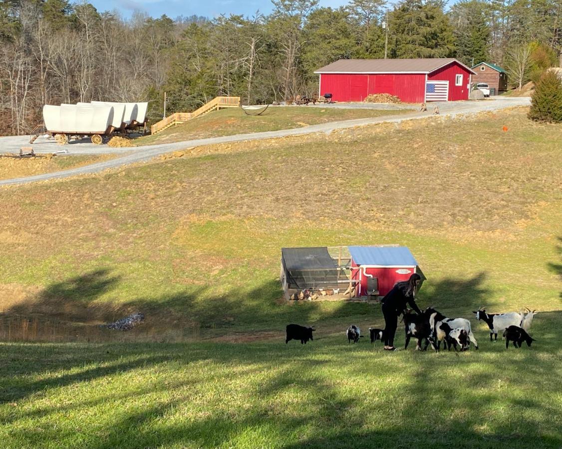 Smoky Hollow Outdoor Resort Covered Wagon Sevierville Luaran gambar
