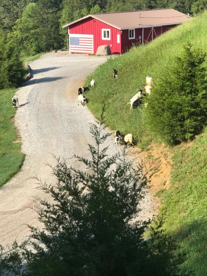 Smoky Hollow Outdoor Resort Covered Wagon Sevierville Luaran gambar